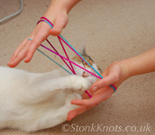 Cat's Cradle - biting